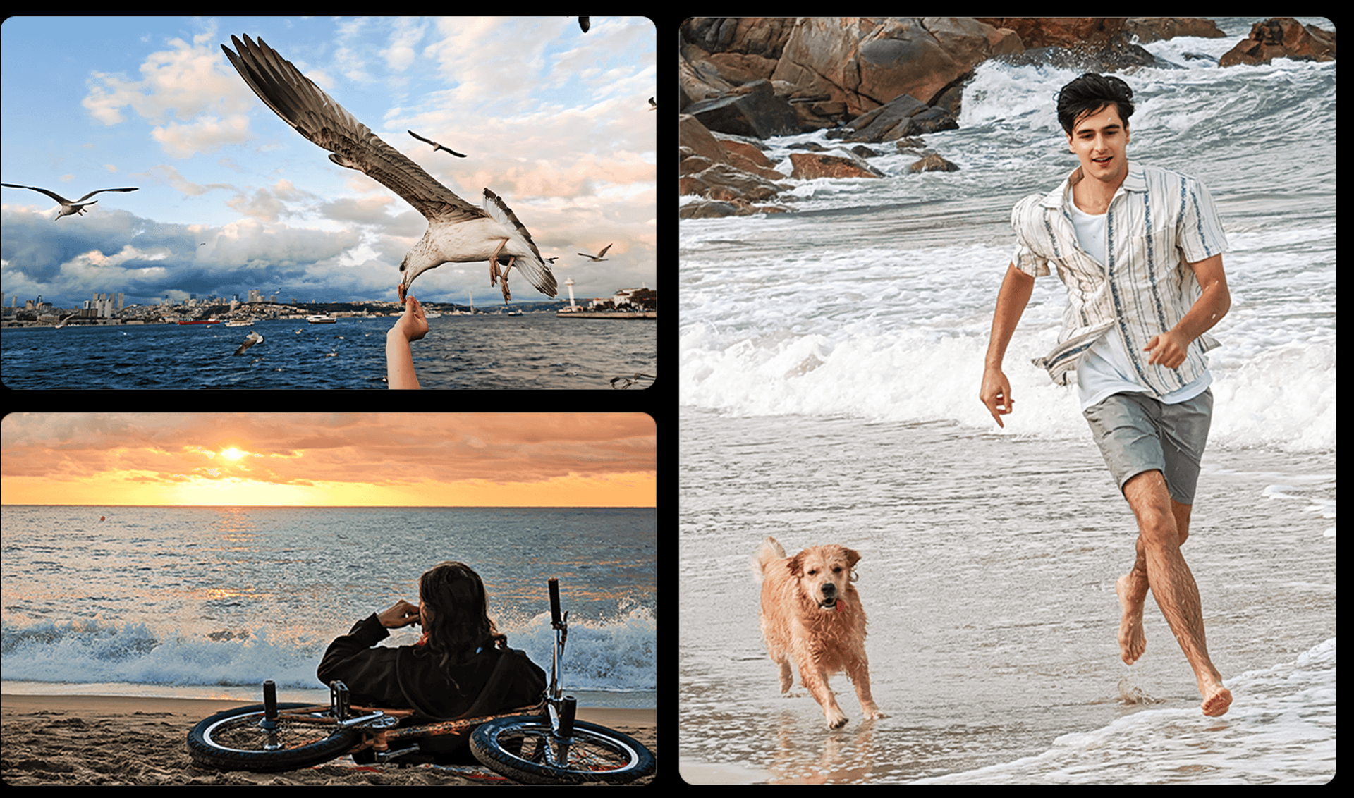 Три картинки с изображениями орла, молодого человека с велосипедом и мужчины с собакой.