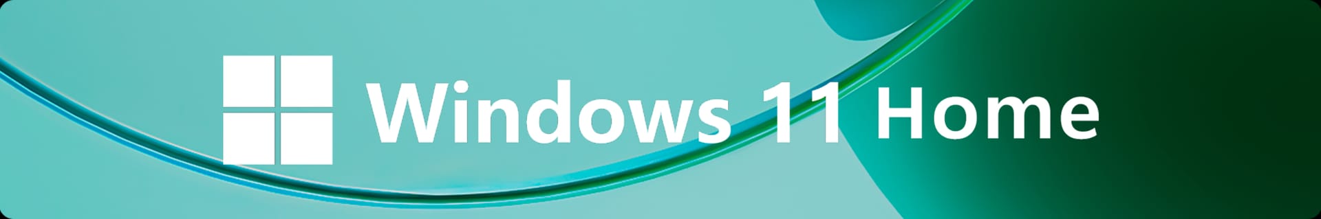 Windows 11